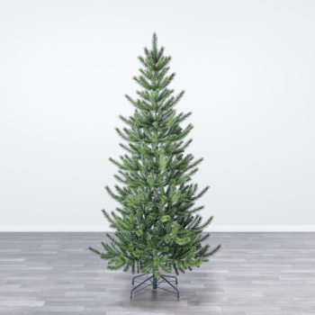 Novogodišnja jelka Cedar pine 240cm-2